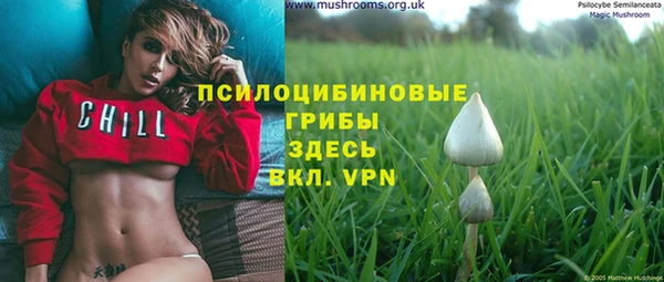 не бодяженный Вяземский