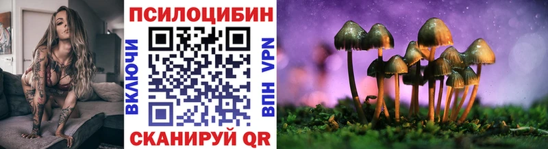 купить закладку  Златоуст  МЕГА зеркало  Псилоцибиновые грибы Psilocybe 